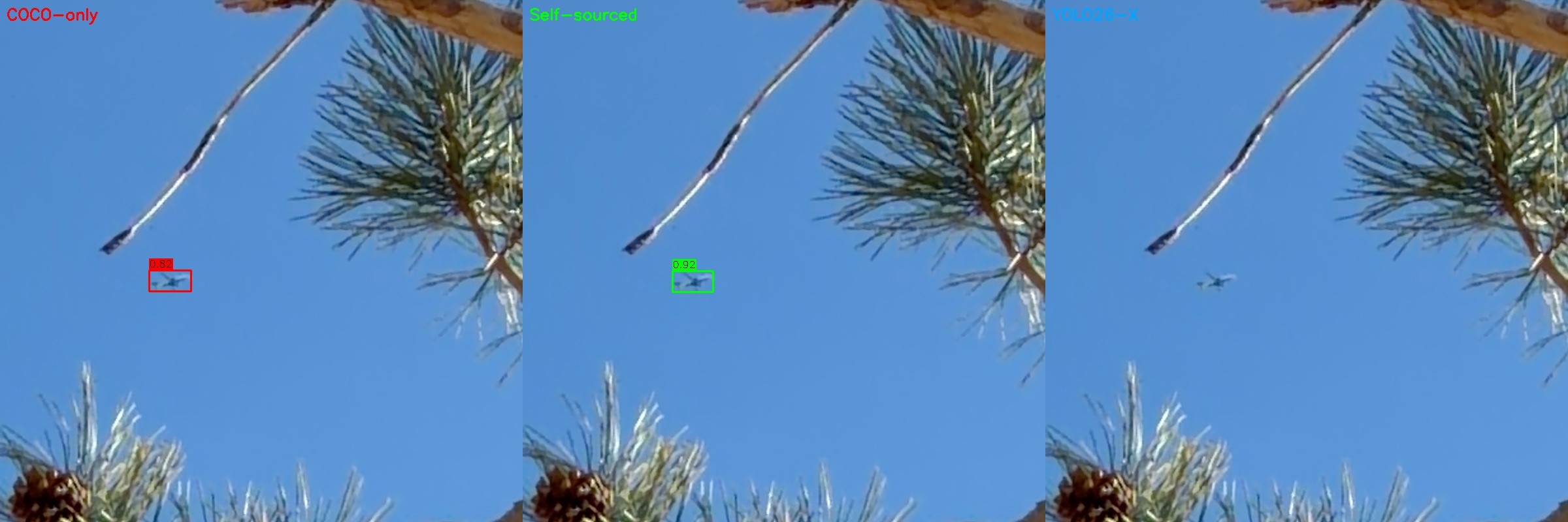Aircraft detection through pine tree branches